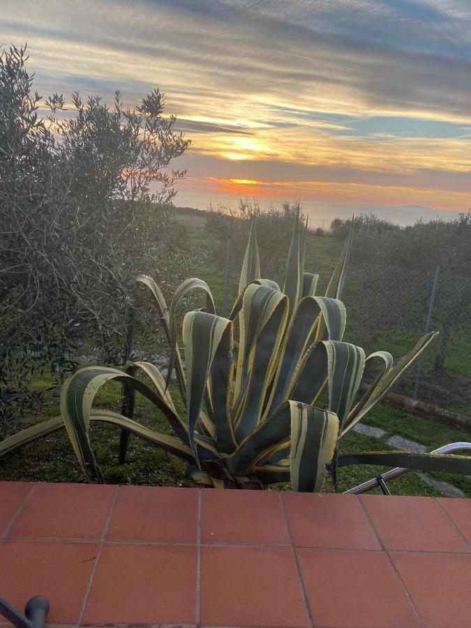 Sunset House Apartment Castiglioncello Bagian luar foto